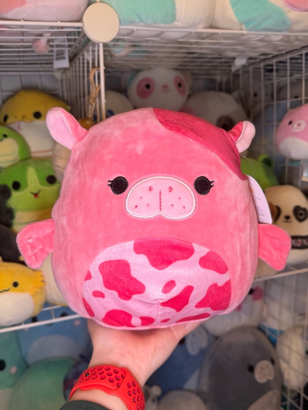 Squishmallows Squishmallow Kerry the Pink Spotted Seacow 8” Stuffed Plush